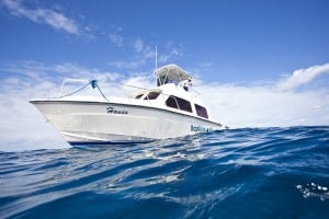 Scuba diving Belize Lighthouse Atoll Halfmoon Caye dive sites