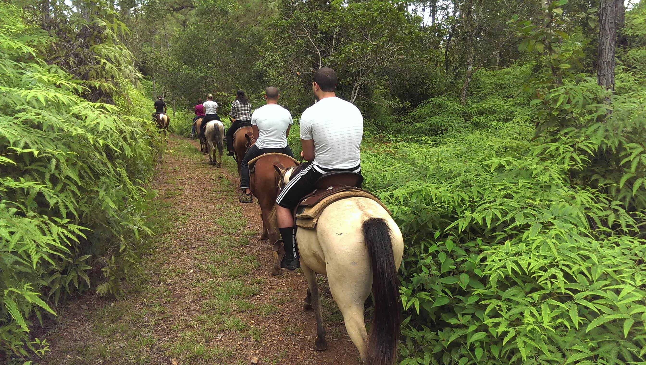 rainforest tour belize