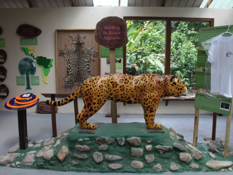 jaguar sculpture in museum in Belize