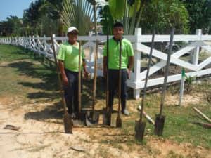 Hamanasi gardeners waiting to plant trees.