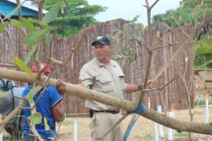 Tony is helping Hamanasi reforest its new property, starting with a Hamanasi tree.