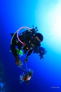 Lionfish_MG_5669_ChrisLiles