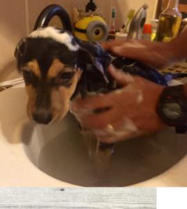 Bandit 3