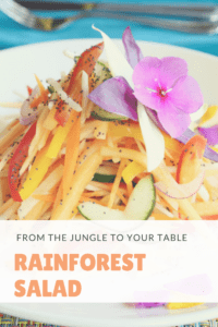 Hamanasi Rainforest Salad