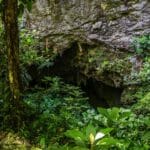 Entrance to St Herman&#039;s Cave seen through the jungle