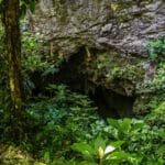 Entrance to St Herman's Cave seen through the jungle