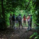 Hamanasi tour group on jungle trail