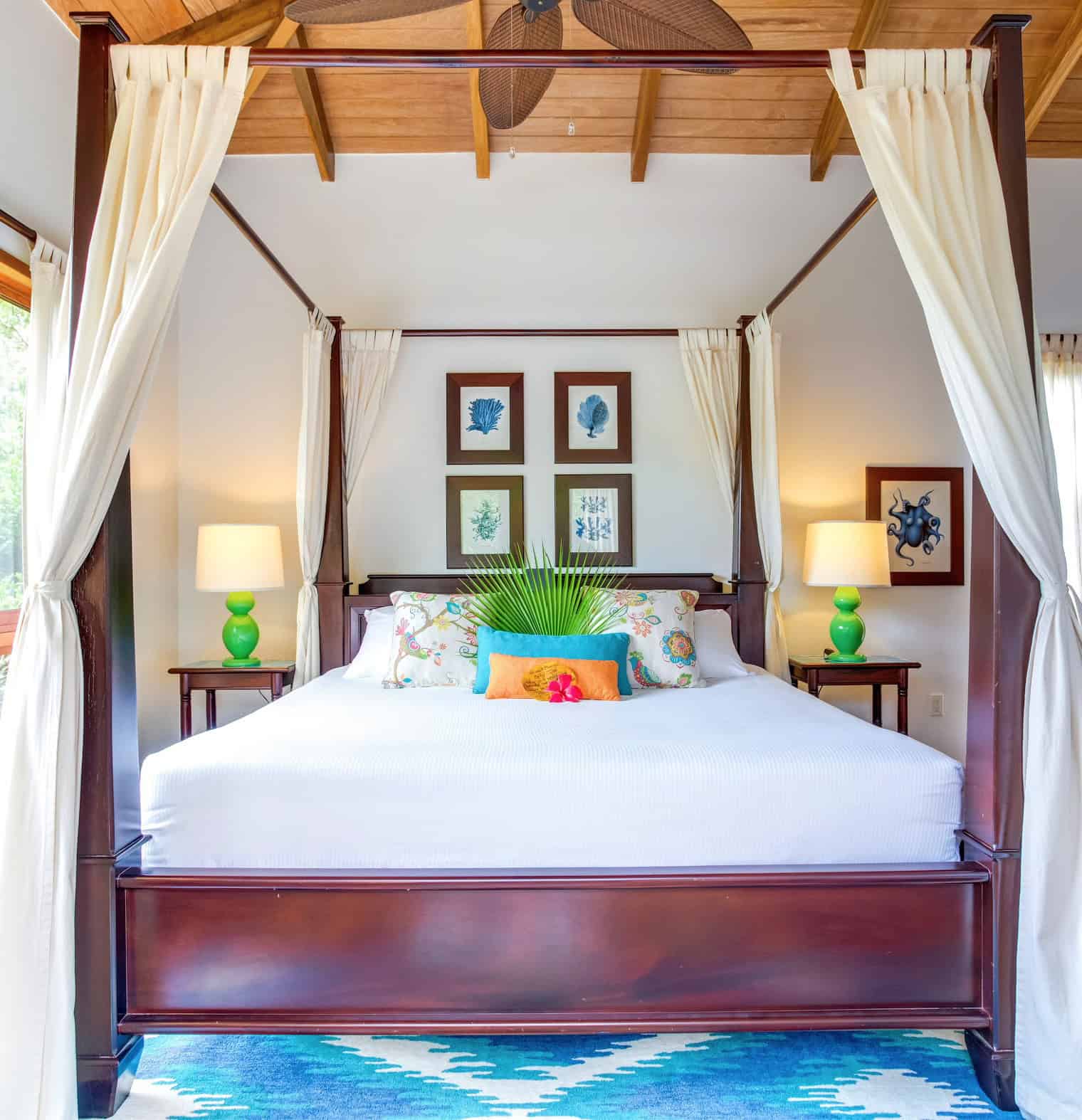 DTH BEd