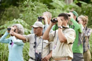 Hamanasi Tropical Birding Adventure