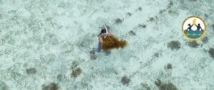 Belize Women’s Seaweed Farmers Association