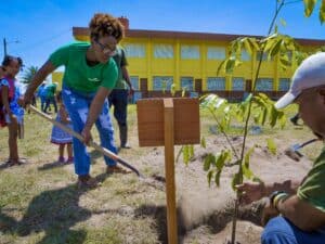 Tree planting